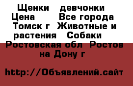 Щенки - девчонки › Цена ­ 2 - Все города, Томск г. Животные и растения » Собаки   . Ростовская обл.,Ростов-на-Дону г.